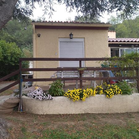 F1 Chambre Et Cuisine Reynes Bagian luar foto